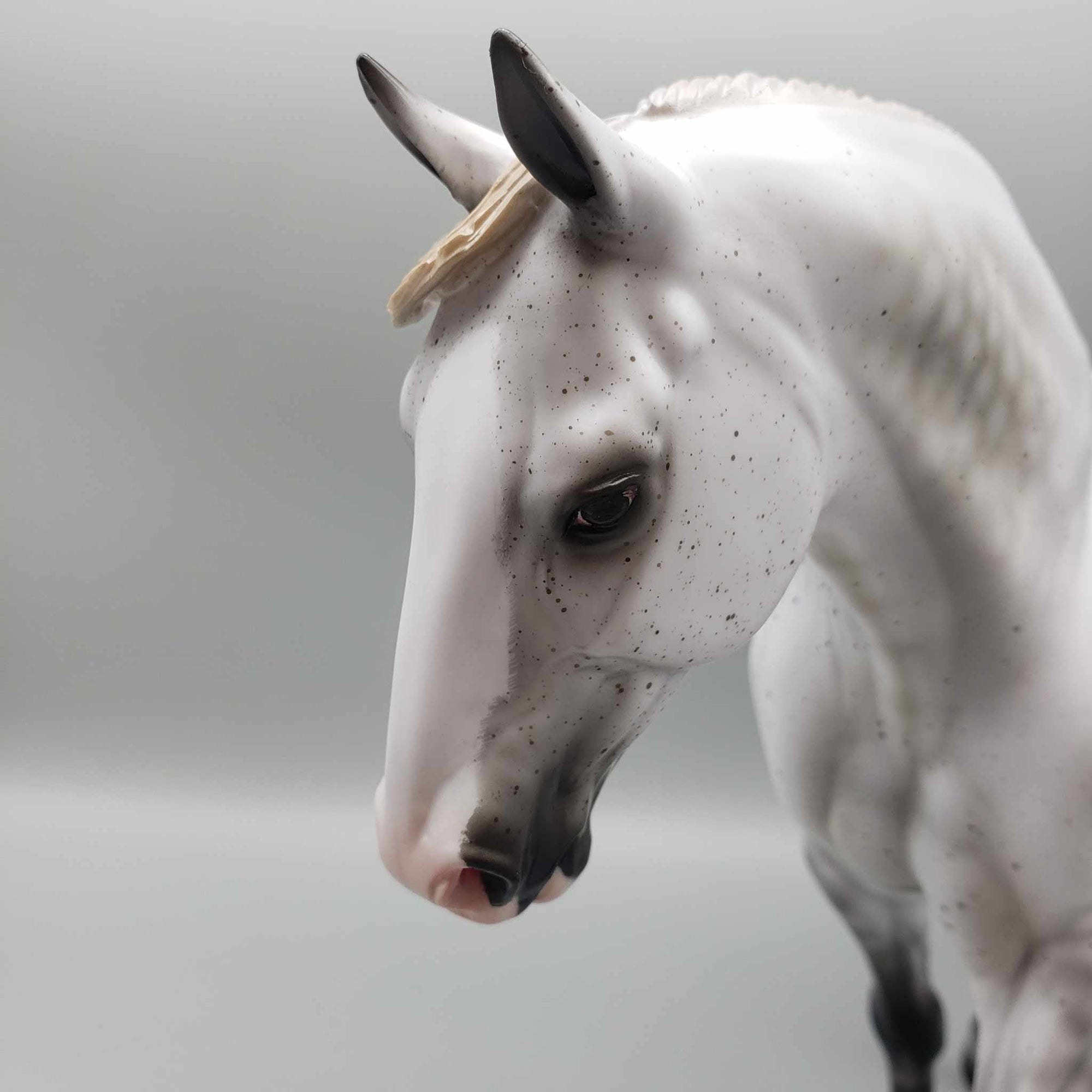 Moonstruck OOAK Fleabitten Dappled Grey Irish Draft By Ashley Palmer for AoTH23 Best Offers