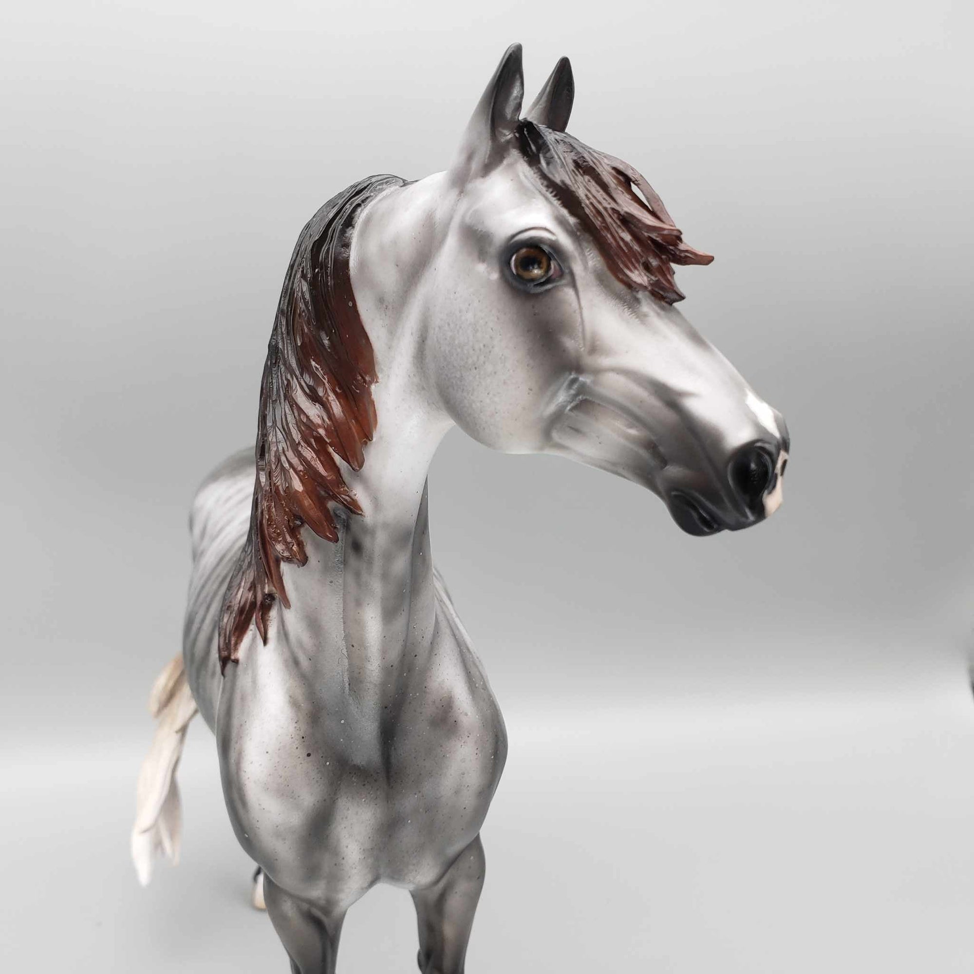 Tyrant OOAK Grey Skewed/Brindle Morgan By Jess Hamill for AoTH23 Best Offers