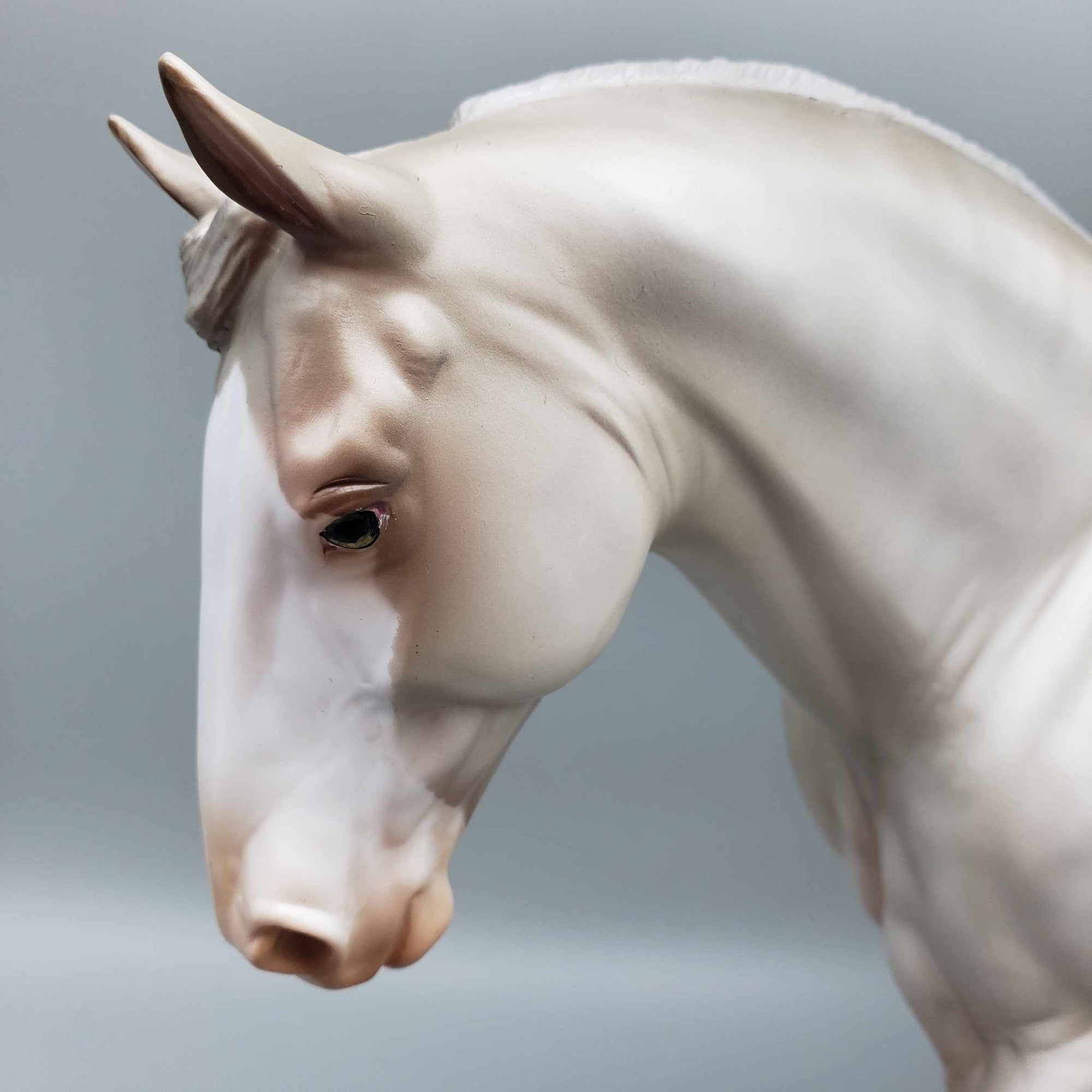 Madara Golden Champagne Irish Draught By Julie Keim AoTH23