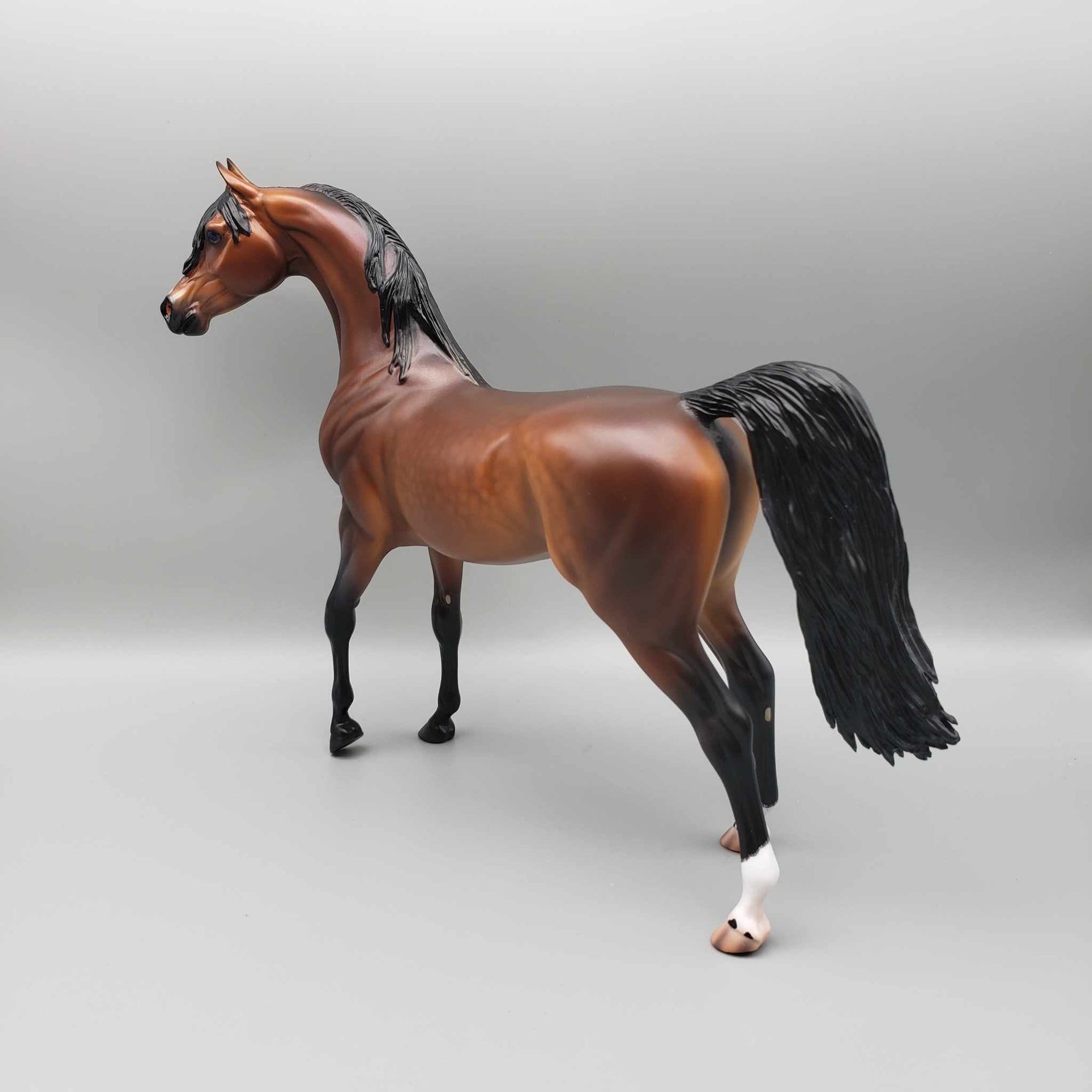 Curtiss OOAK Dappled Bay Arab Stallion By Caroline Boydston Best Offer 11/13/23