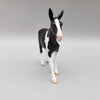 MINI Kloissonne LE10 Black Tobiano Mule Chip By Angela Marleau AoTH23