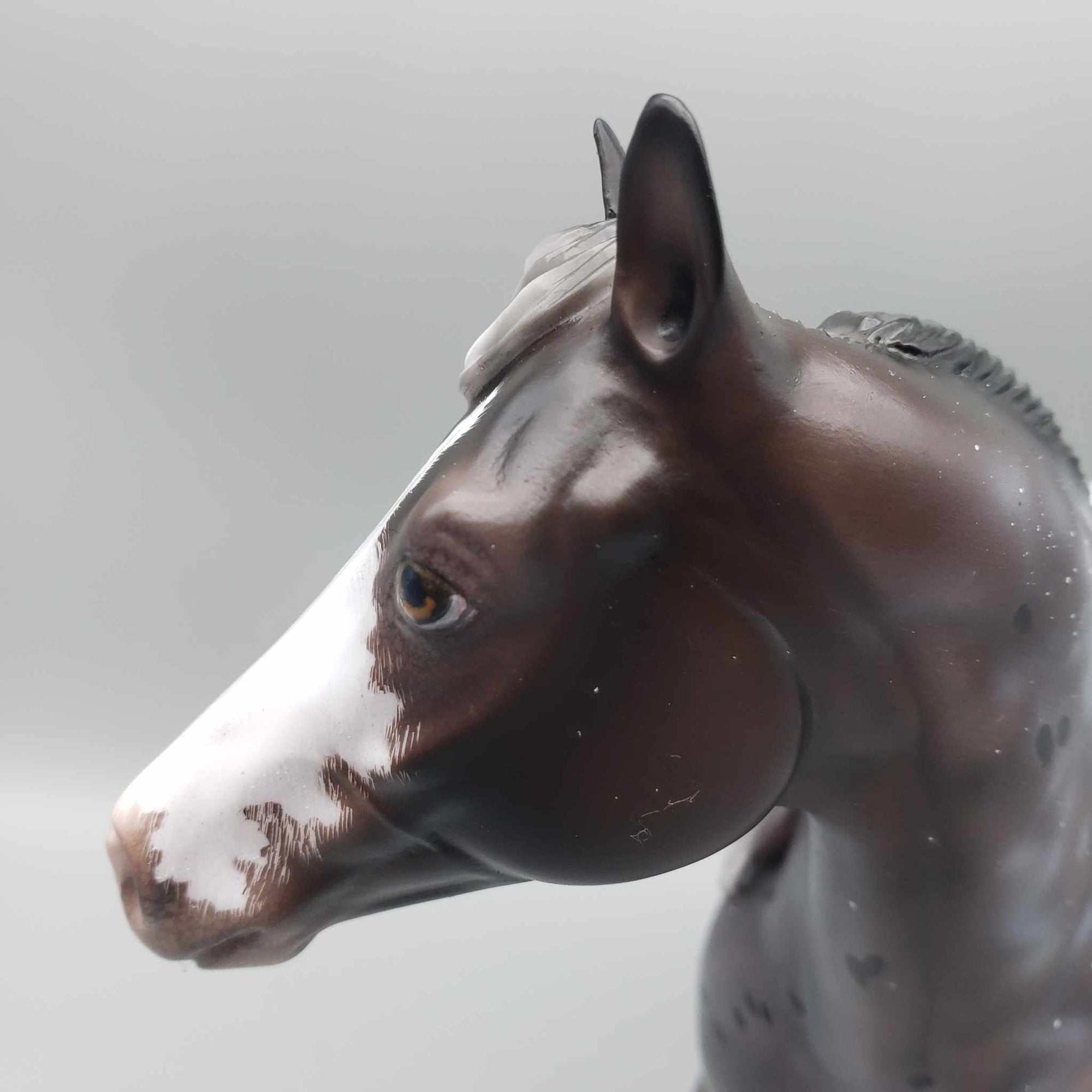 Usothe OOAK Appaloosa Ideal Stock Horse By Ellen Robbins for AoTH23 Best Offers