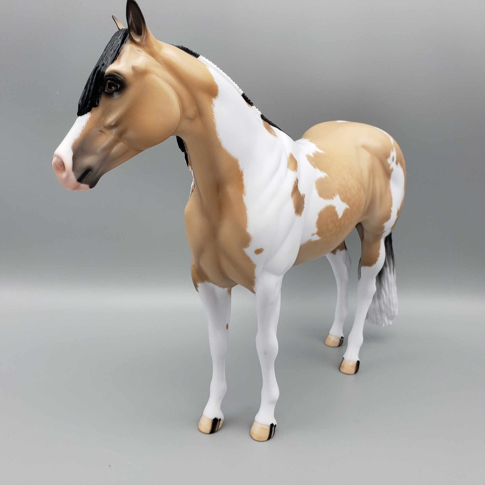 Wrangler-Ideal Stock Horse By Carrie Keller for AoTH23 Best Offers