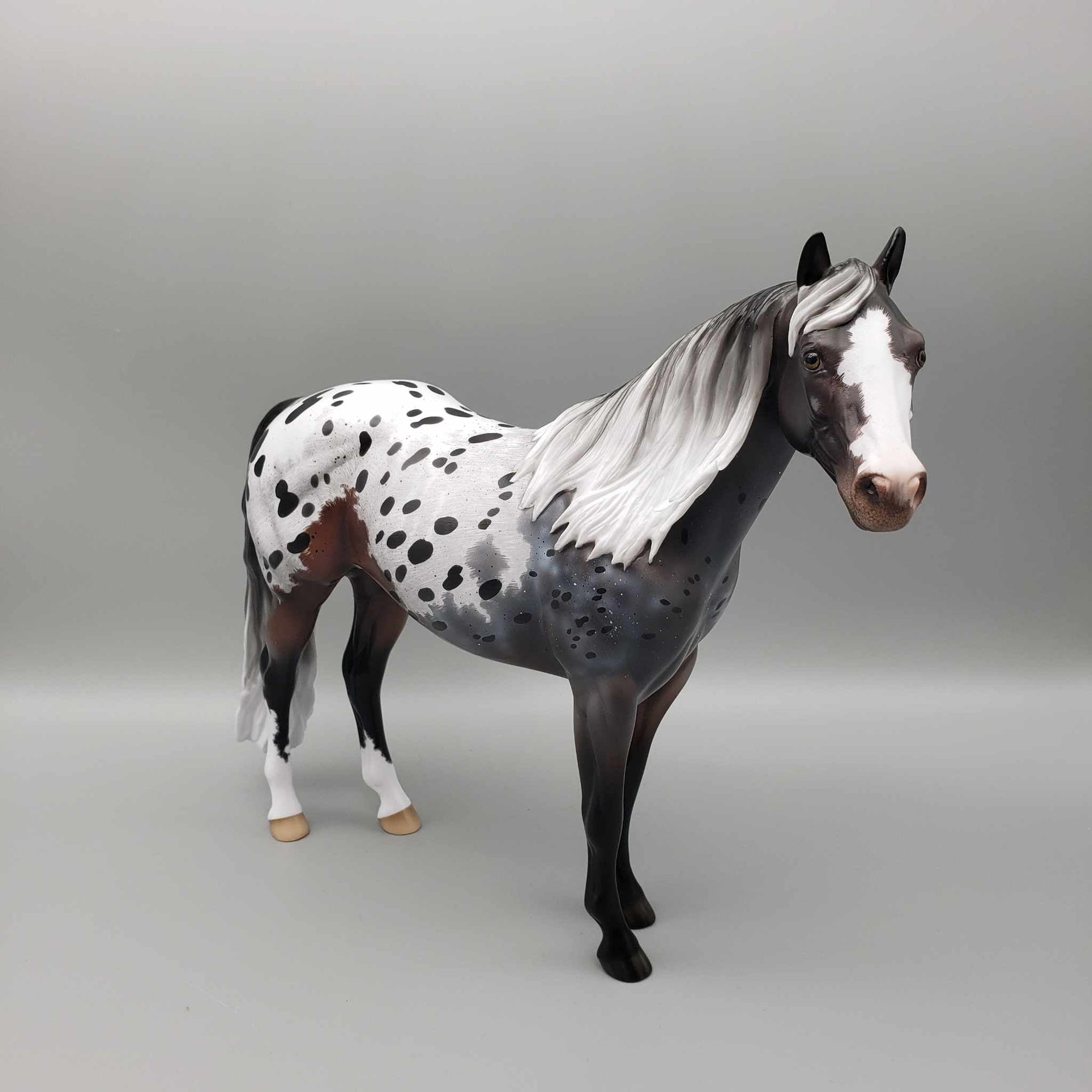 Usothe OOAK Appaloosa Ideal Stock Horse By Ellen Robbins for AoTH23 Best Offers