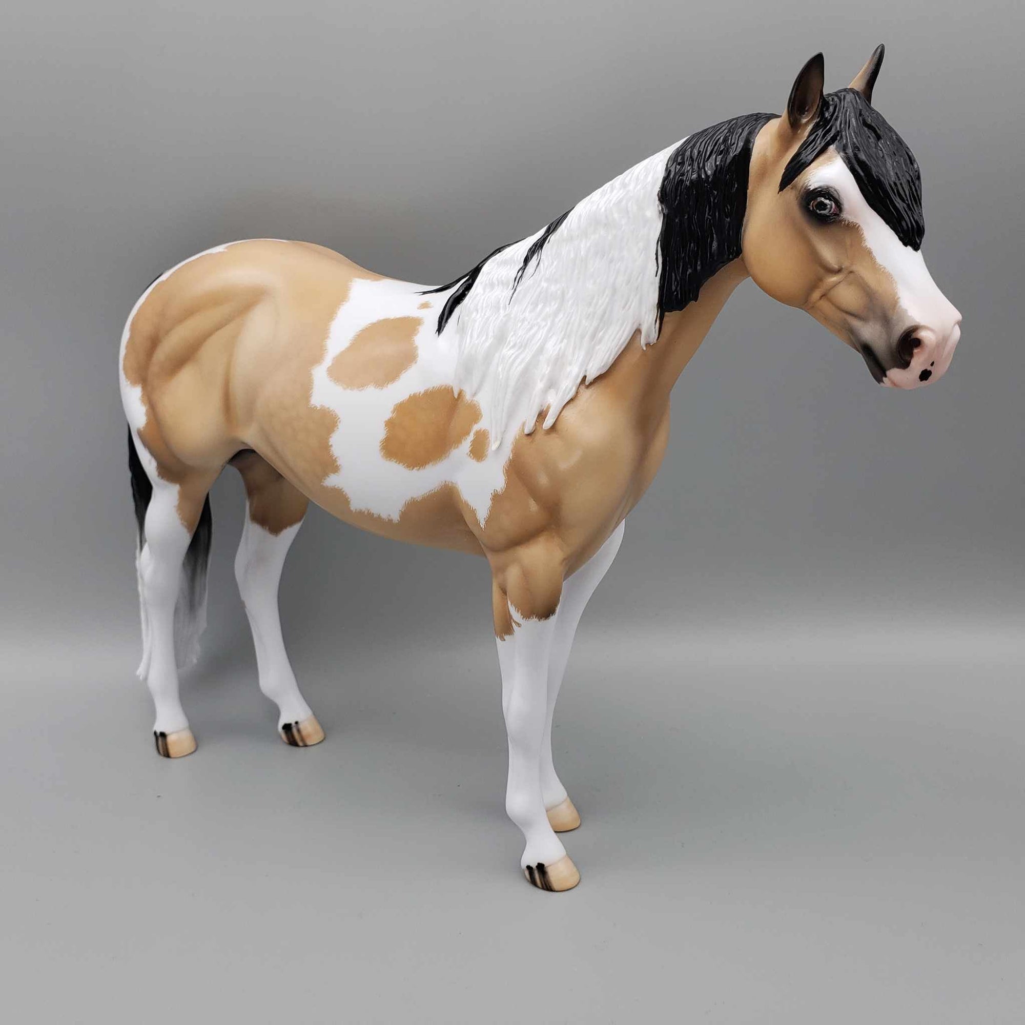 Wrangler-Ideal Stock Horse By Carrie Keller for AoTH23 Best Offers