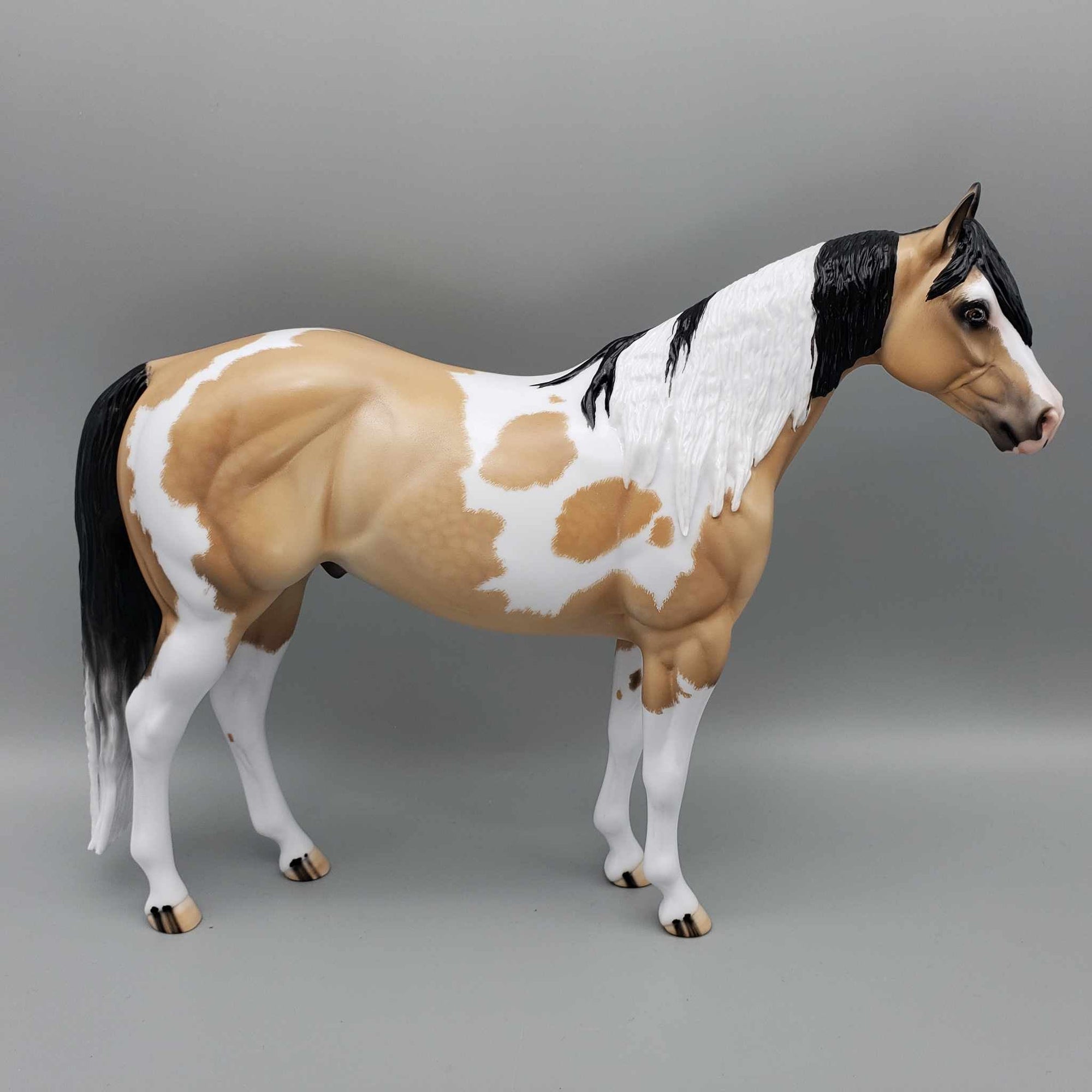 Wrangler-Ideal Stock Horse By Carrie Keller for AoTH23 Best Offers