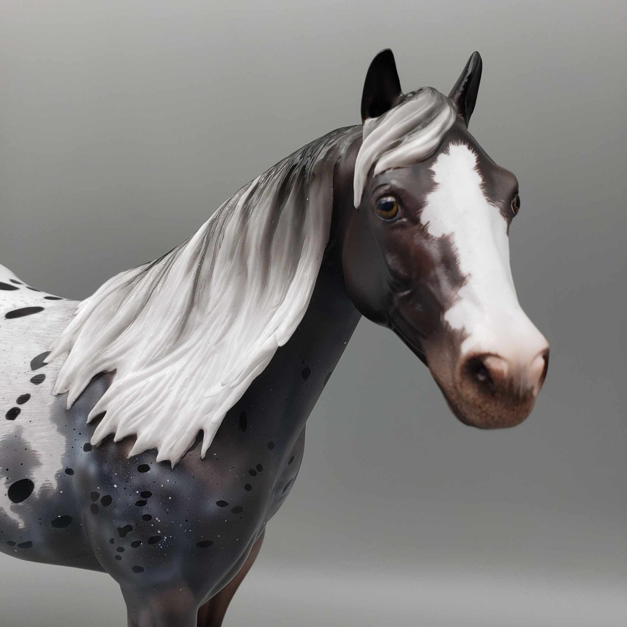 Usothe OOAK Appaloosa Ideal Stock Horse By Ellen Robbins for AoTH23 Best Offers