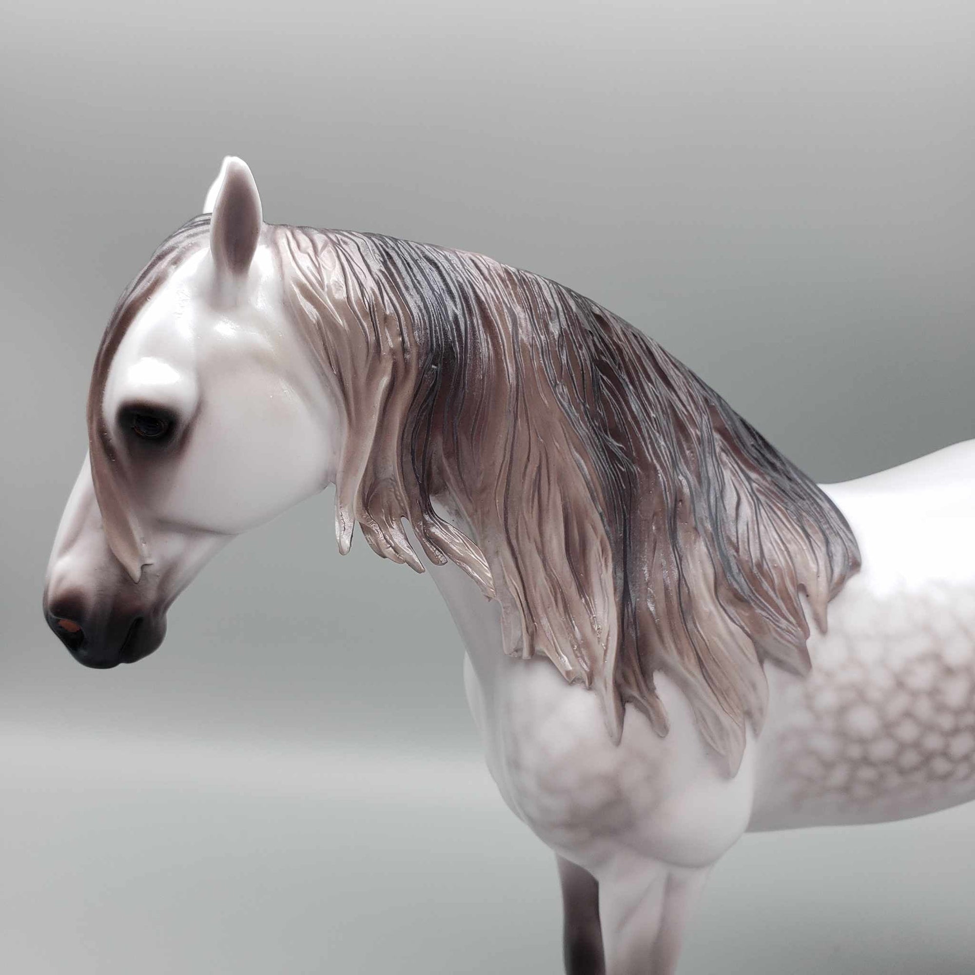 Ascender OOAK Dappled Grey Andalusian By Caroline Boydston Best Offer 11/13/23