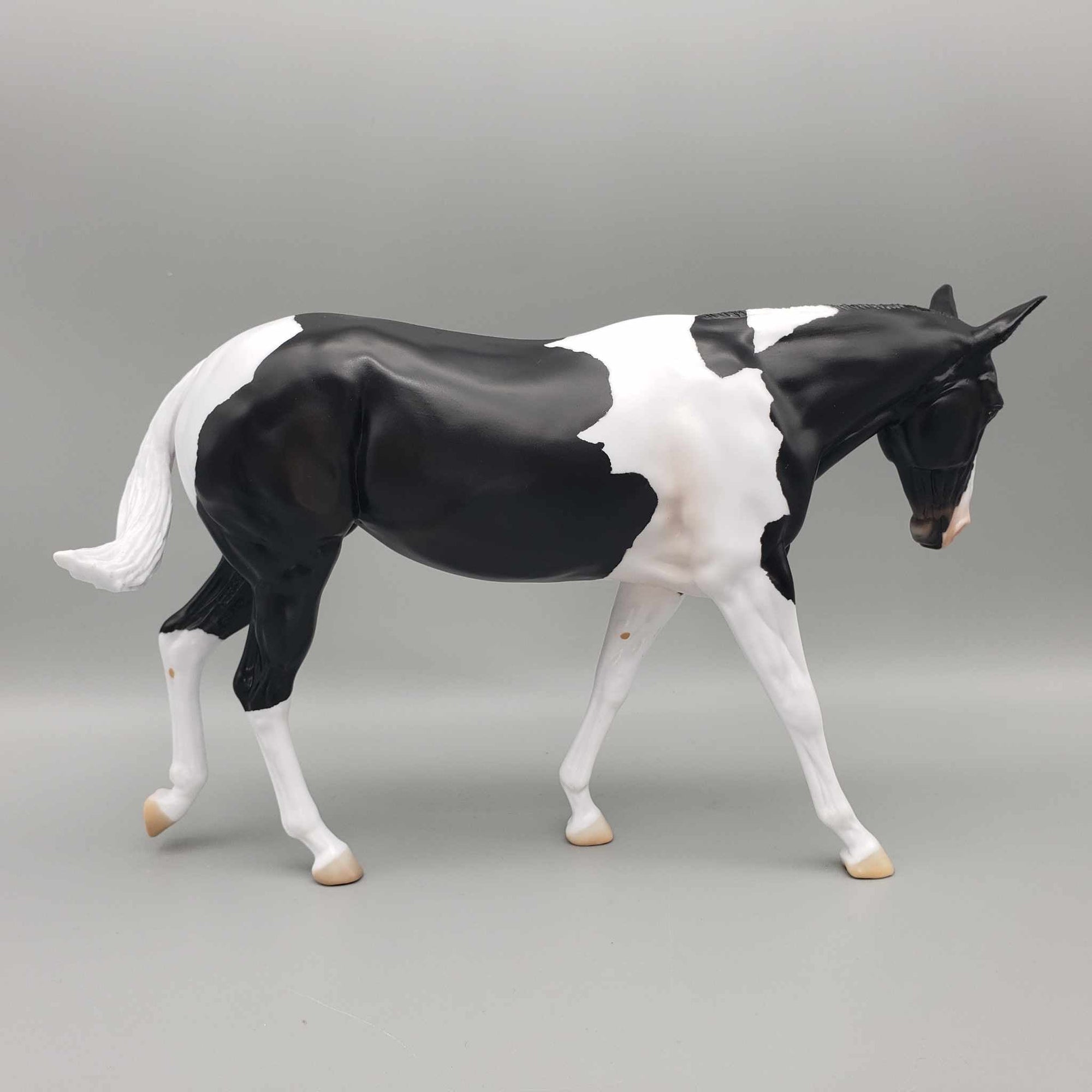 Kloissonne LE20 Black Tobiano Custom Mule By Angela Marleau AoTH23