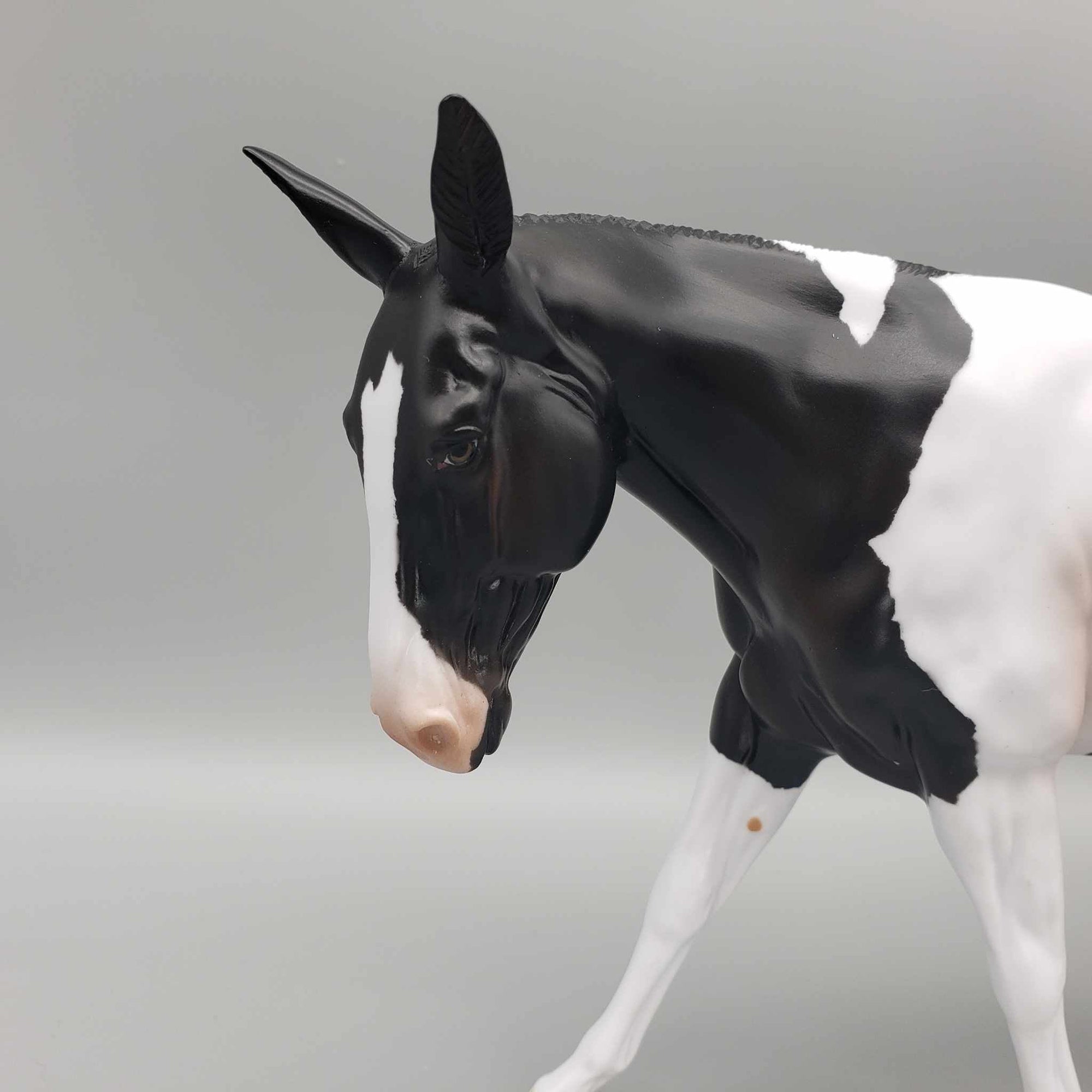 Kloissonne LE20 Black Tobiano Custom Mule By Angela Marleau AoTH23