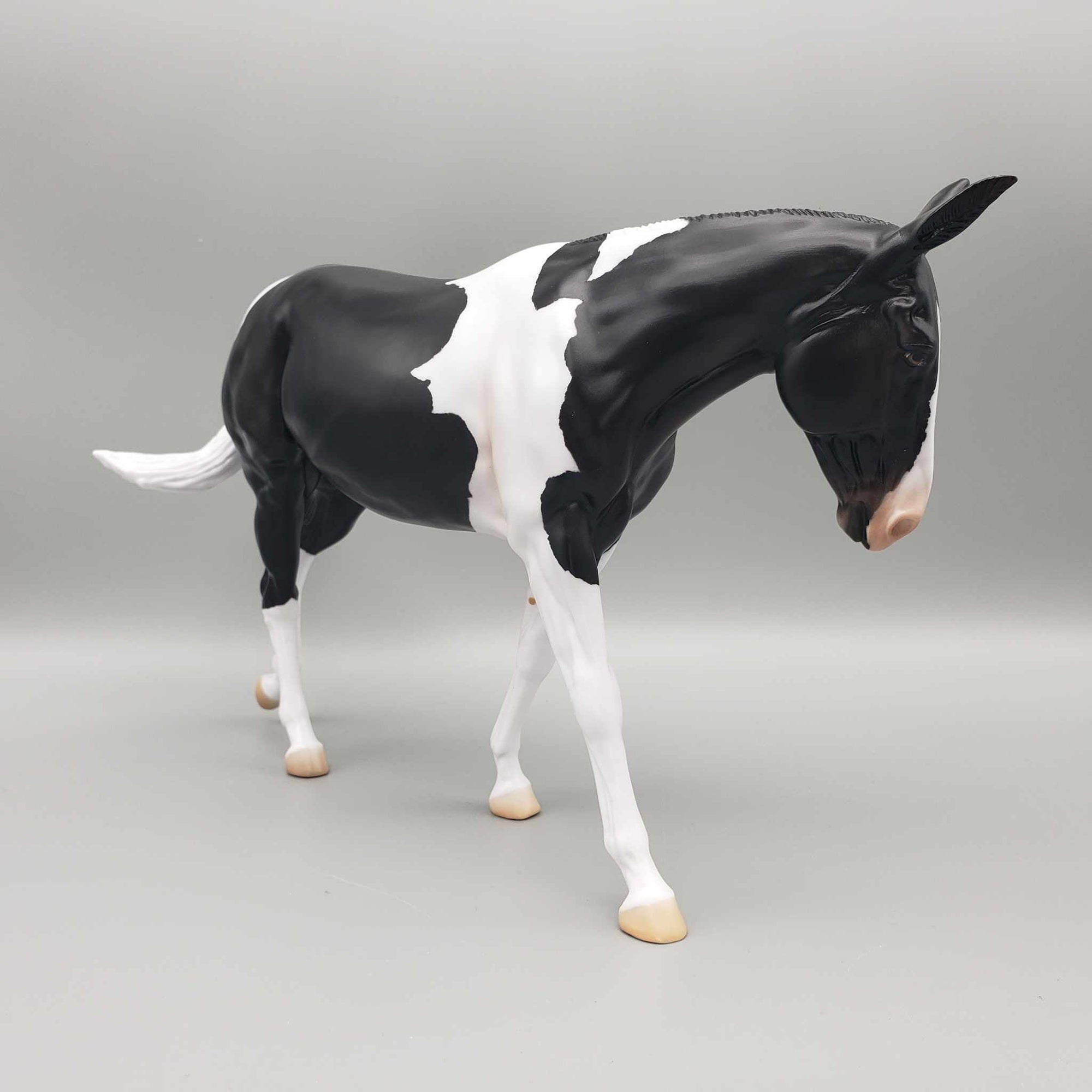 Kloissonne LE20 Black Tobiano Custom Mule By Angela Marleau AoTH23