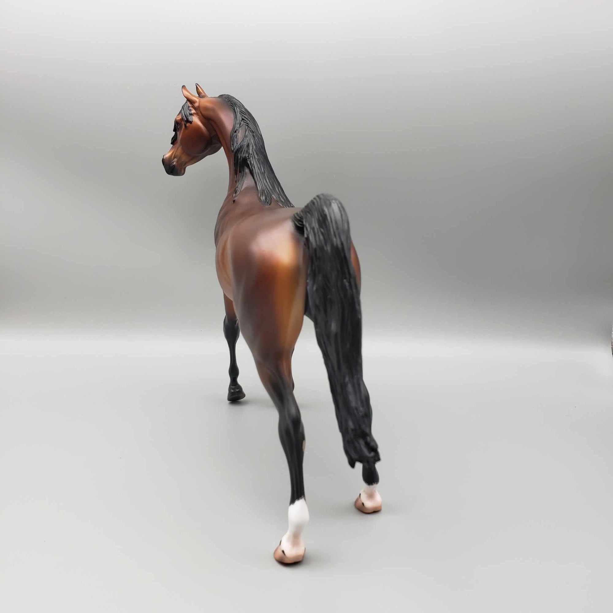 Curtiss OOAK Dappled Bay Arab Stallion By Caroline Boydston Best Offer 11/13/23