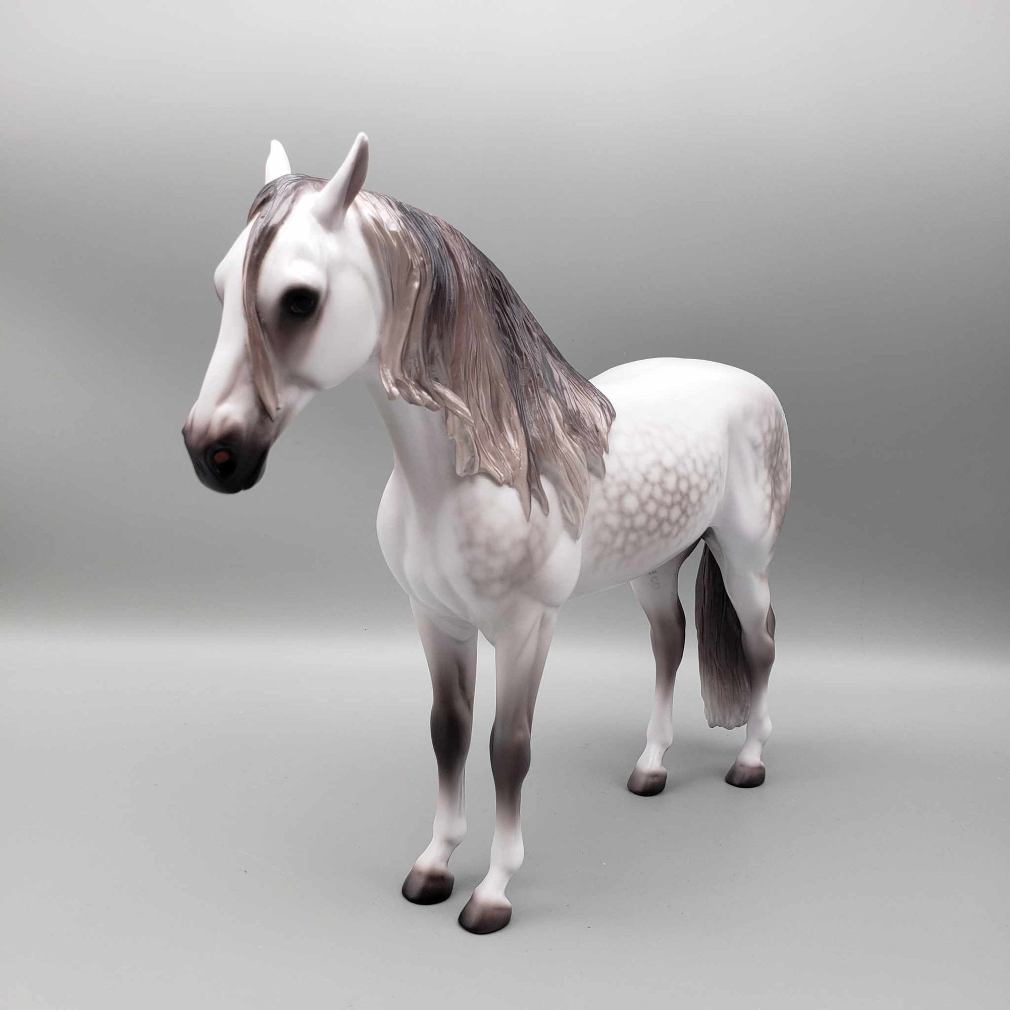 Ascender OOAK Dappled Grey Andalusian By Caroline Boydston Best Offer 11/13/23