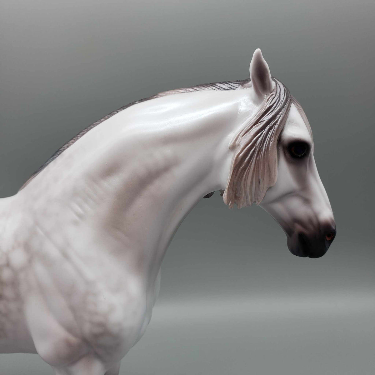 Ascender OOAK Dappled Grey Andalusian By Caroline Boydston Best Offer 11/13/23
