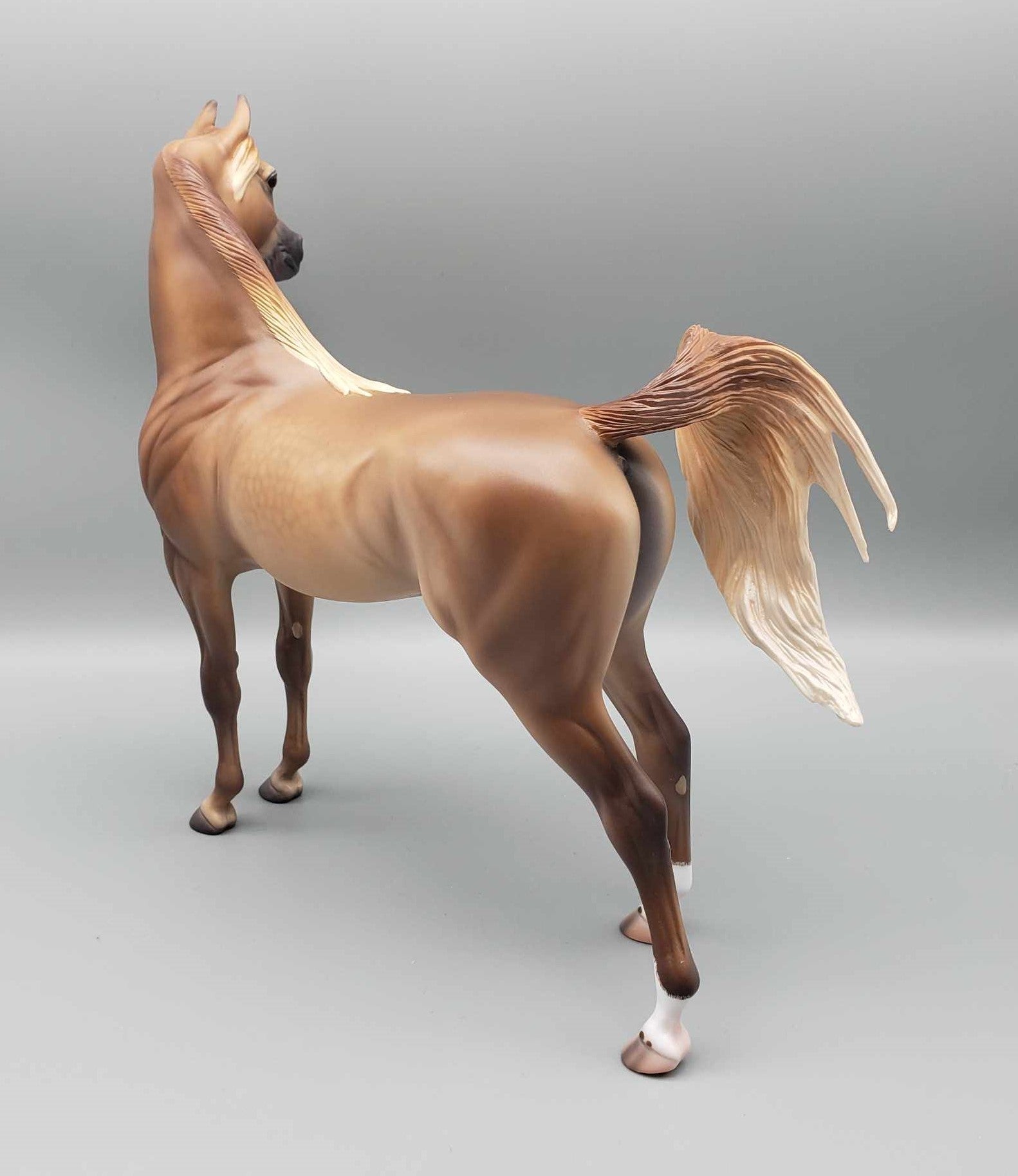 Liberator OOAK Dappled Rose Grey Arabian Stallion By Caroline Boydston Best Offer 11/20/23