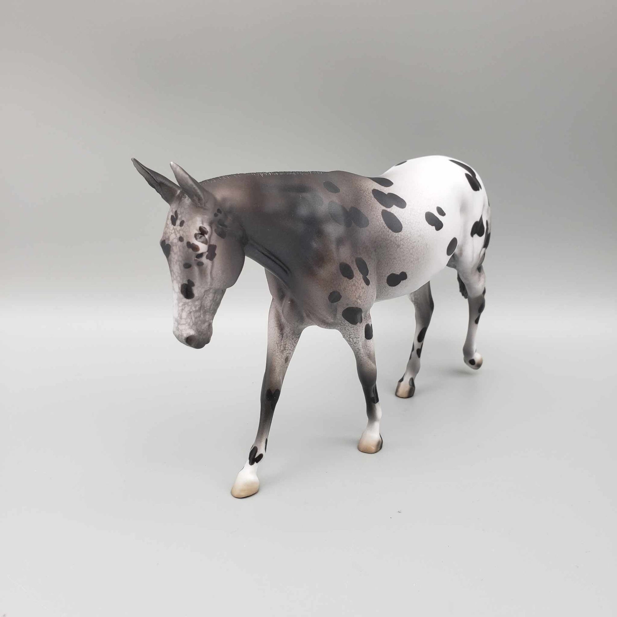 Cozy OOAK Appaloosa Pebble Mule By Jess Hamill Holiday Sale HS23 Facebook Auction