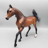 Cessna OOAK Dappled Bay with Silver Tail Arabian Mare By Caroline Boydston Best Offer 11/6/23