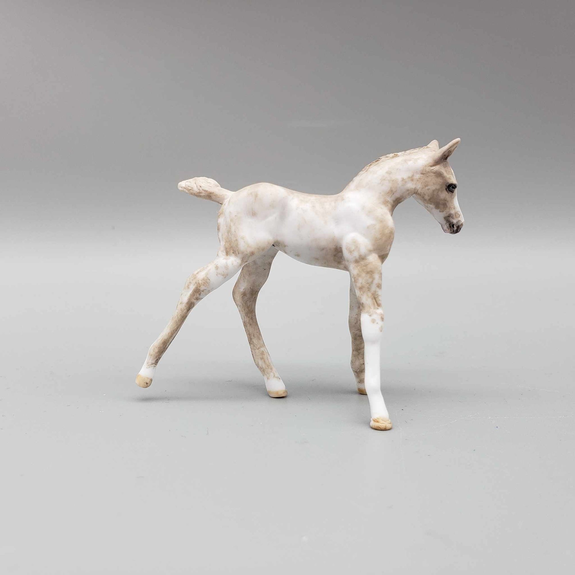 Bevan OOAK Chip Foal Hand Painted and Customized by Andrea Thomason HS23