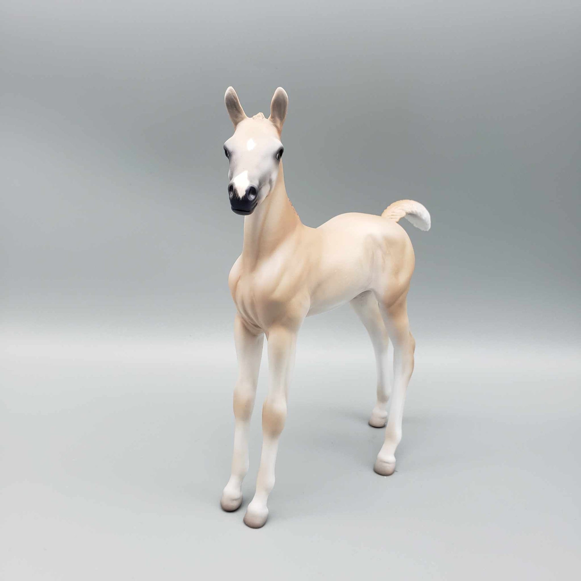 Cinnamon Cookie LE 15 Run Light Chestnut Arab Foal By Jess Hamill Holiday Sale HS23