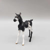 IDared OOAK Black Chip Foal Hand Painted and Customized by Andrea Thomason HS23