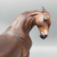 Hellcat OOAK Dark Dappled Chestnut Extreme Custom Andalusian By Caroline Boydston Best Offer 11/20/23