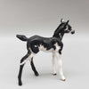 IDared OOAK Black Chip Foal Hand Painted and Customized by Andrea Thomason HS23
