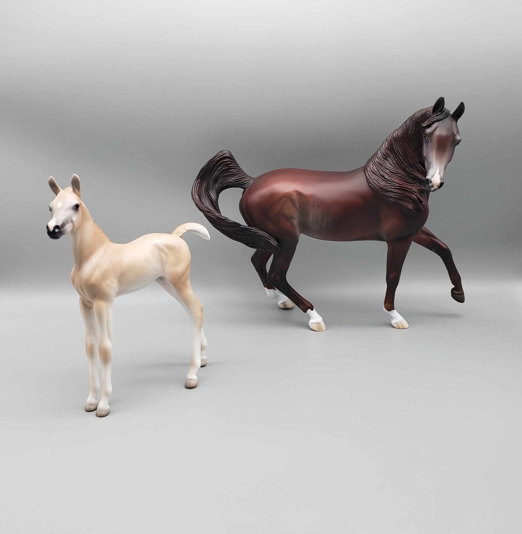 Cinnamon Cookie LE 15 Run Light Chestnut Arab Foal By Jess Hamill Holiday Sale HS23