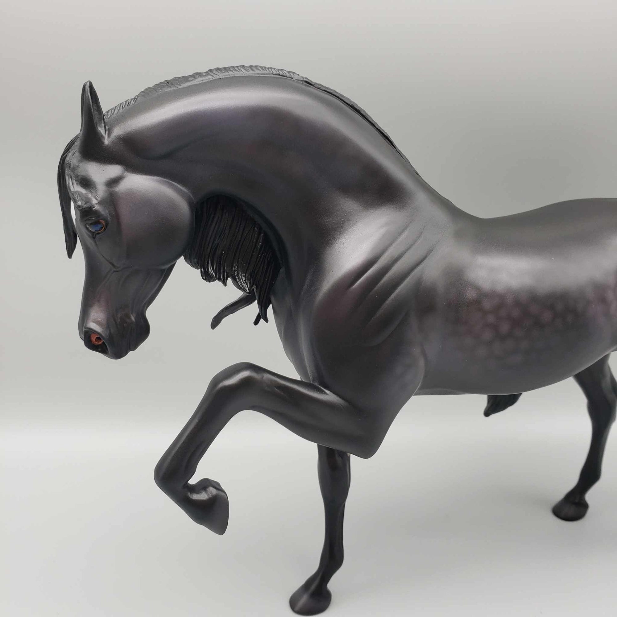 Stealth OOAK Dappled Black Extreme Custom Arabian Stallion By Caroline Boydston Best Offer 11/20/23