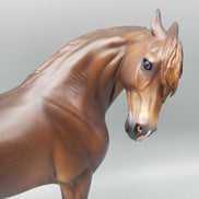 Hellcat OOAK Dark Dappled Chestnut Extreme Custom Andalusian By Caroline Boydston Best Offer 11/20/23