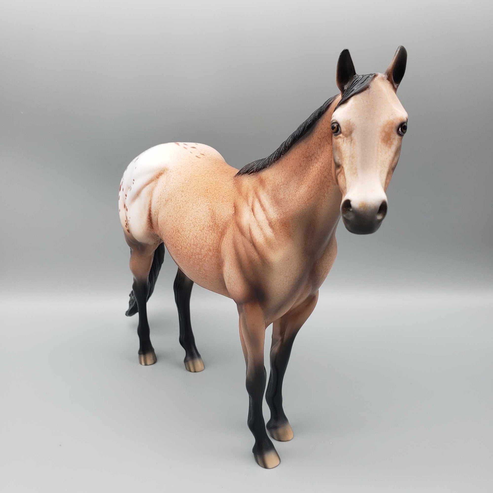 Spice OOAK Bay Appaloosa Ideal Stock Horse By Dawn Quick MM23