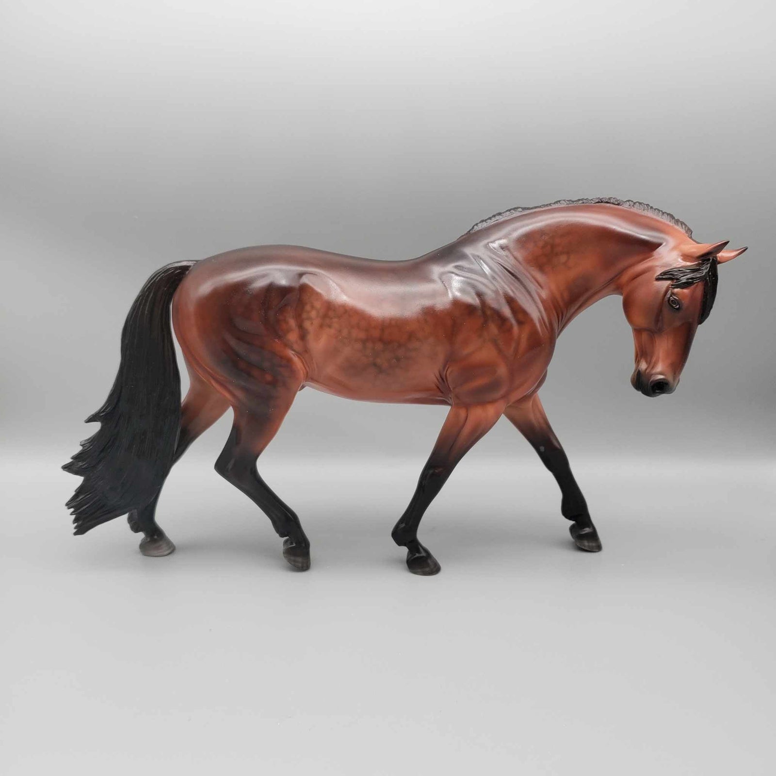 Westminster Royale OOAK Clevland Bay Irish Draught By Myla Pearce Best Offers 10/16/23