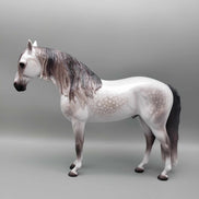 Ascender OOAK Dappled Grey Andalusian By Caroline Boydston Best Offer 11/13/23