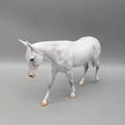 Snowball Limited Edition 22 Dapple Grey Pebble Mule Dinner Model for Holiday Event Dinner 2023 By Ellen Robbins Holiday Sale HS23