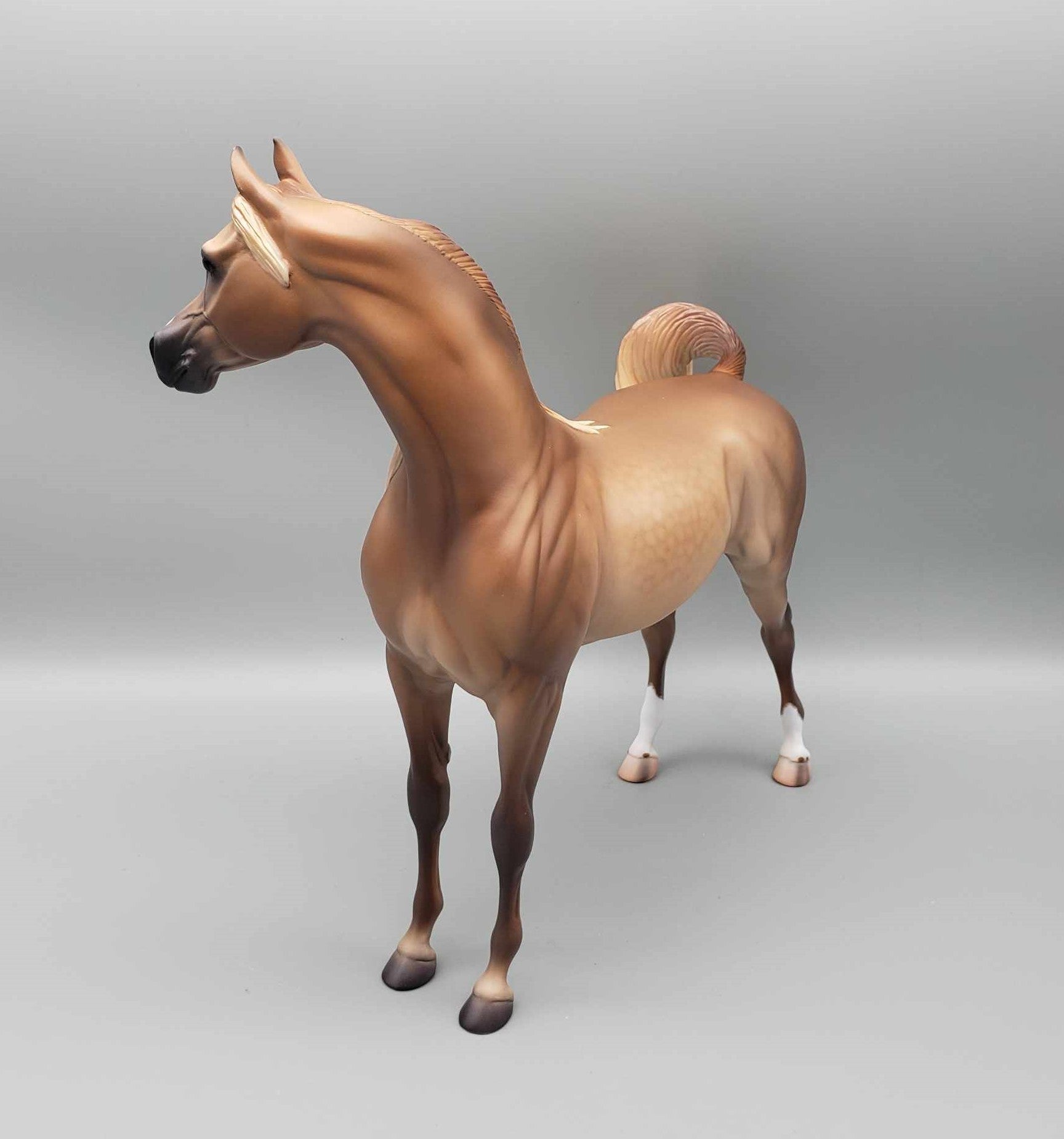 Liberator OOAK Dappled Rose Grey Arabian Stallion By Caroline Boydston Best Offer 11/20/23