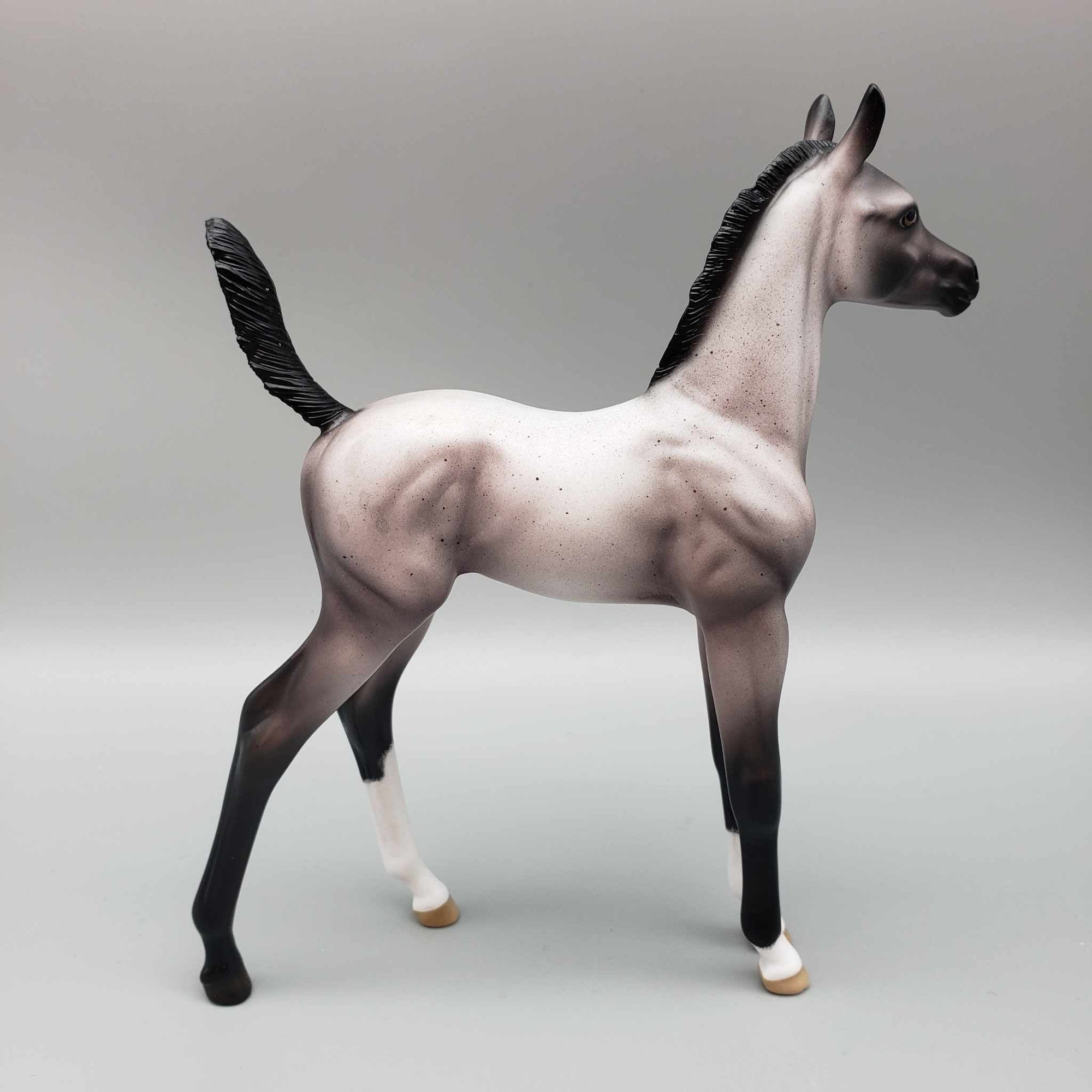 Frostbite OOAK Blue Roan Cold Sensitive Blue Appy By Ellen Robbins Holiday Sale 2023 HS23