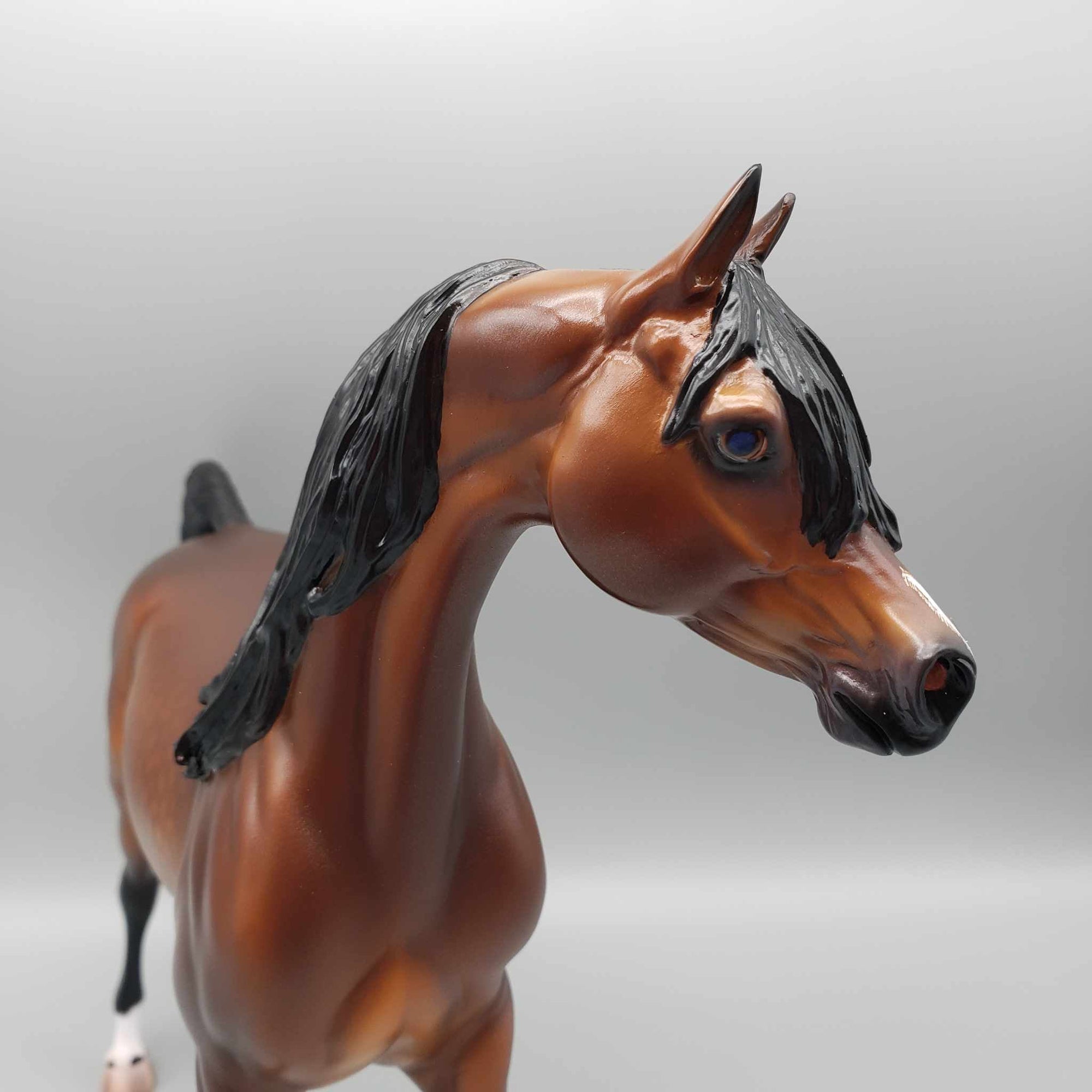 Curtiss OOAK Dappled Bay Arab Stallion By Caroline Boydston Best Offer 11/13/23