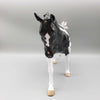 Witches Brew Holographic Black Pinto Running Stock Horse  By Myla Pearce Best Offers 10/16/23