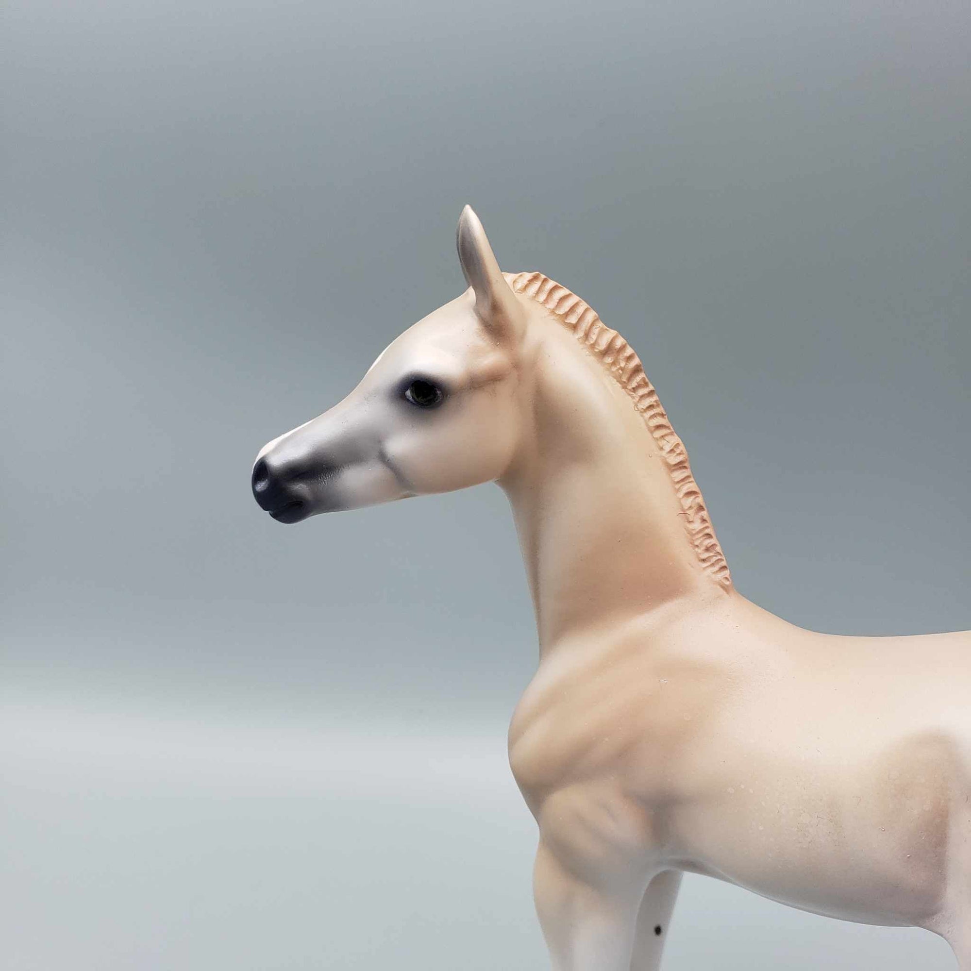 Cinnamon Cookie LE 15 Run Light Chestnut Arab Foal By Jess Hamill Holiday Sale HS23