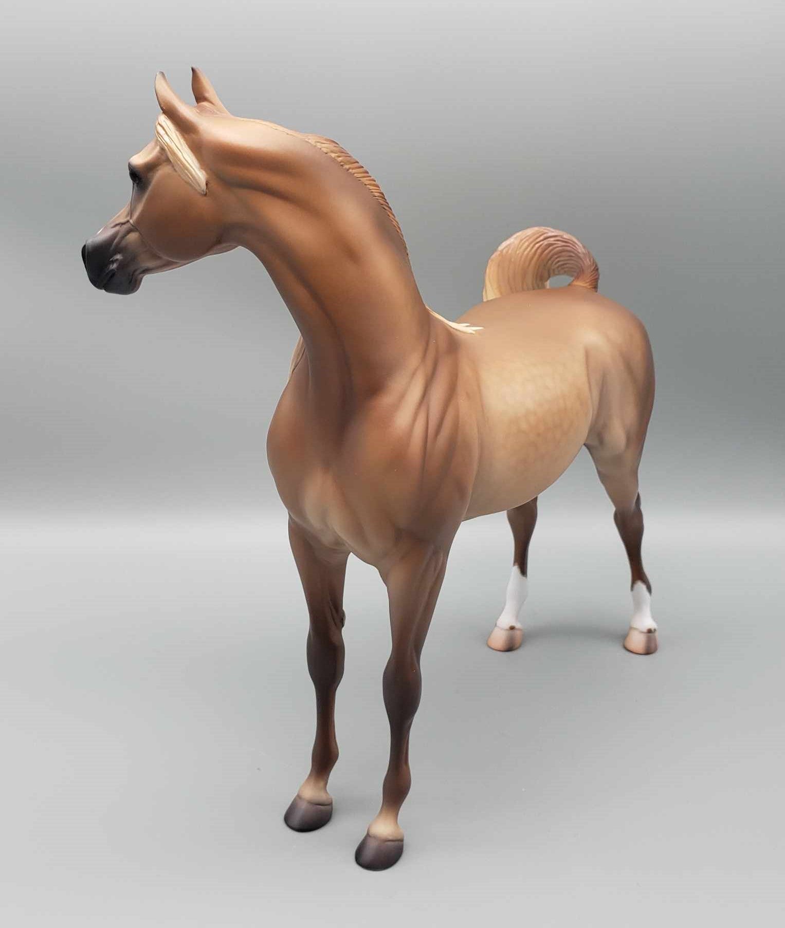 Liberator OOAK Dappled Rose Grey Arabian Stallion By Caroline Boydston Best Offer 11/20/23