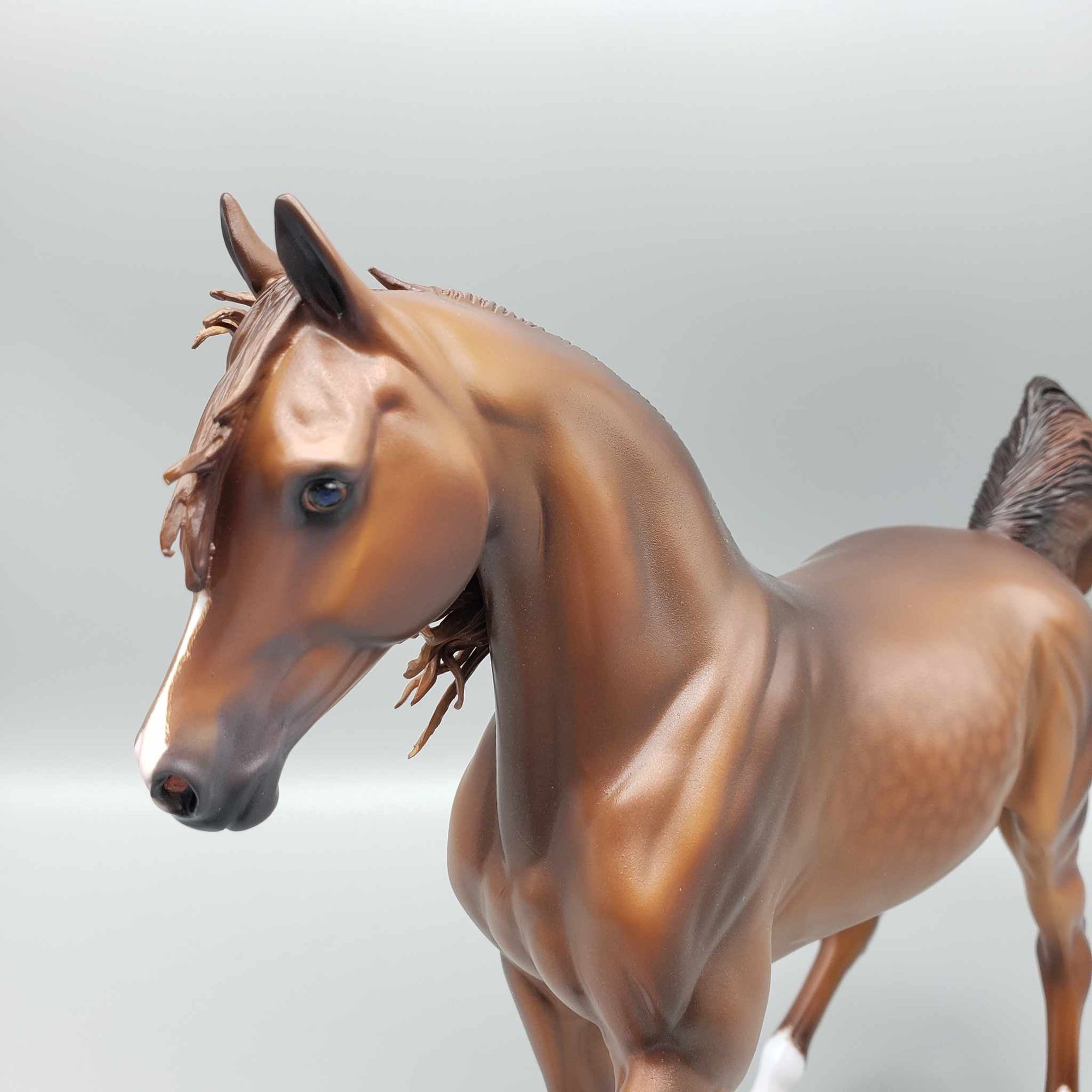 Piper OOAK Dappled Chesnut Arabian Mare By Caroline Boydston Best Offer 11/6/23