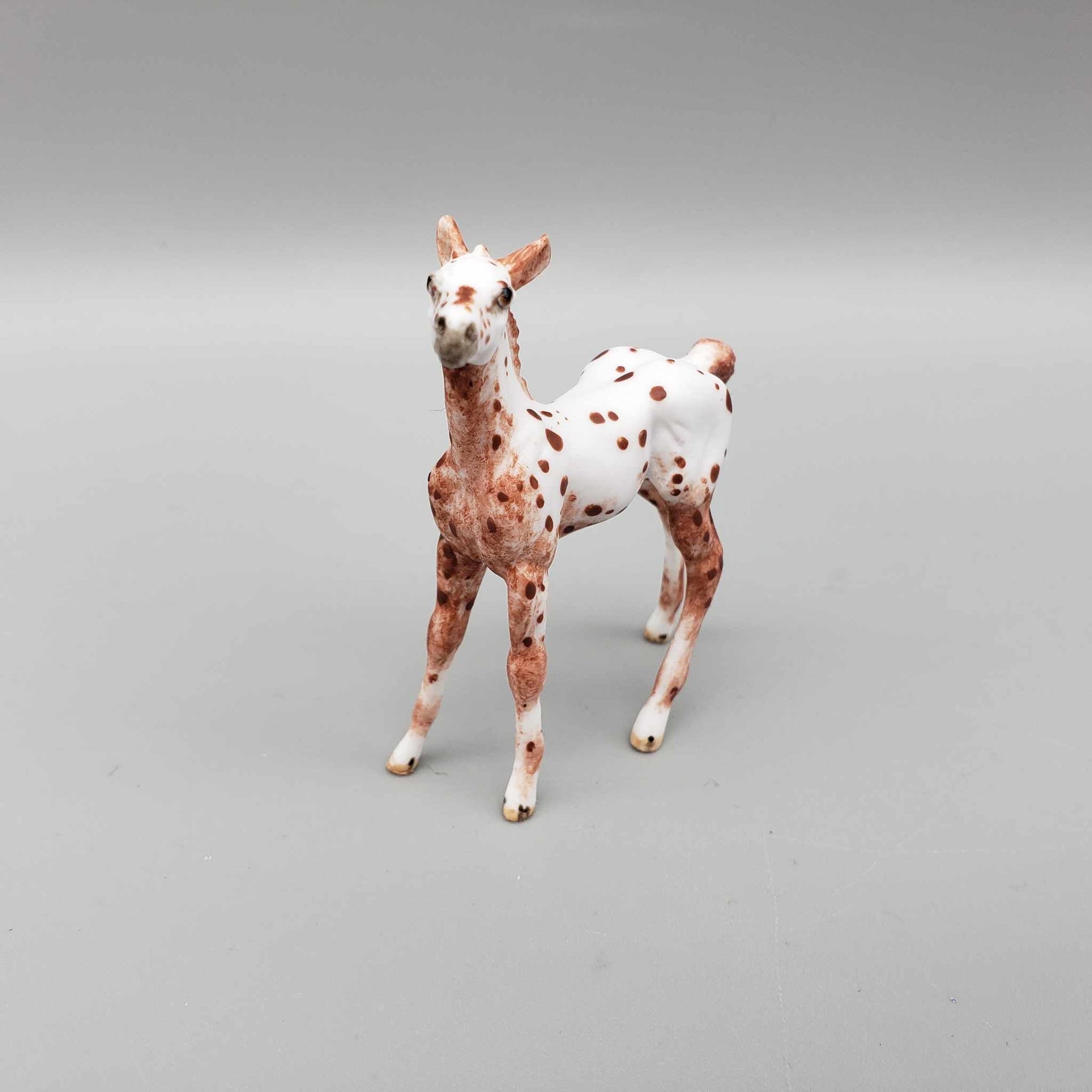 Akane OOAK Custom Chip Foal Hand Painted and Customized by Andrea Thomason HS23