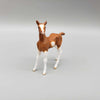 Heart Surprise OOAK Chip Foal Hand Painted and Customized by Andrea Thomason HS23