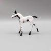 Frisky OOAK Black Tovero Kicking Chip Foal Hand Painted and Customized by Andrea Thomason HS23