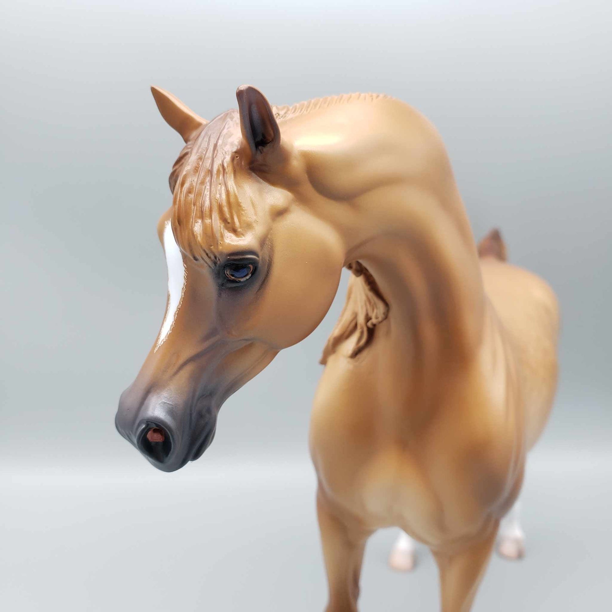 Douglas OOAK Dappled Light Chestnut Arabian By Caroline Boydston Best Offer 11/6/23