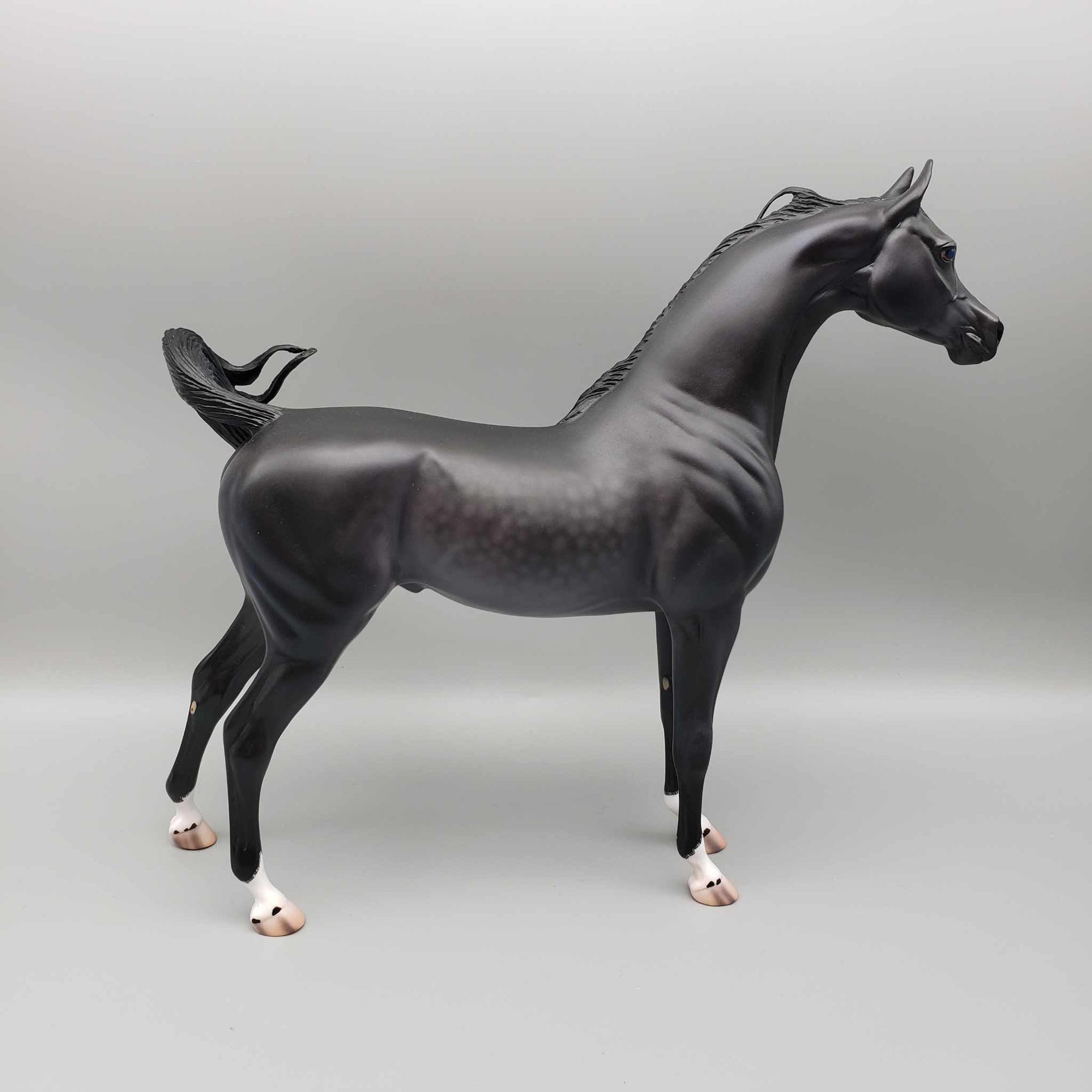 Black Bullet OOAK Dappled Black Arab Stallion By Caroline Boydston Best Offer 11/13/23