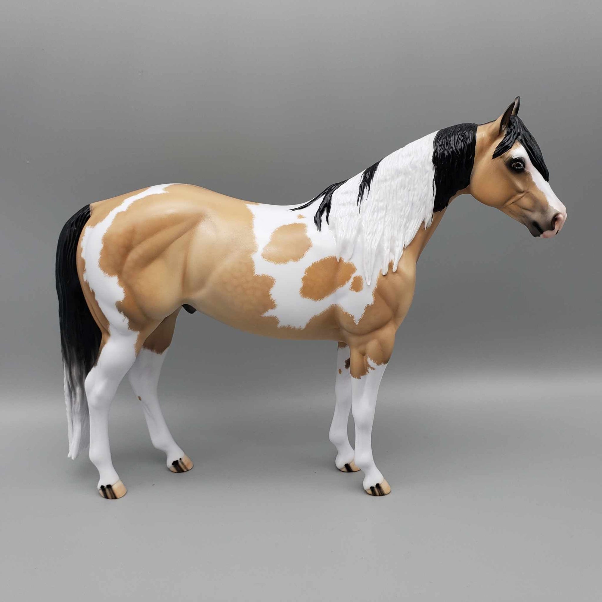 Wrangler-Ideal Stock Horse By Carrie Keller for AoTH23 Best Offers