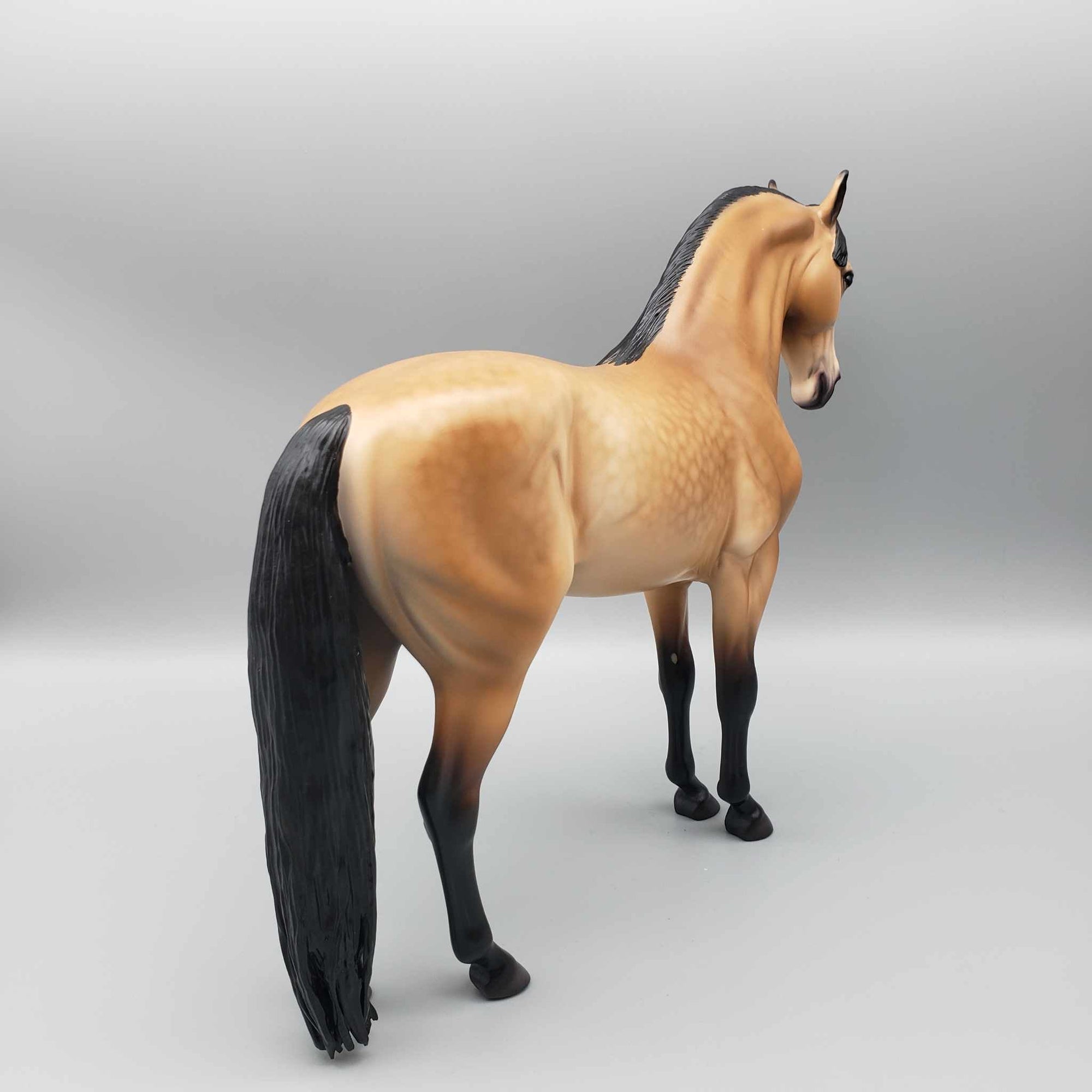 Grumman OOAK Dappled Buckskin Andalusian By Caroline Boydston Best Offer 11/13/23