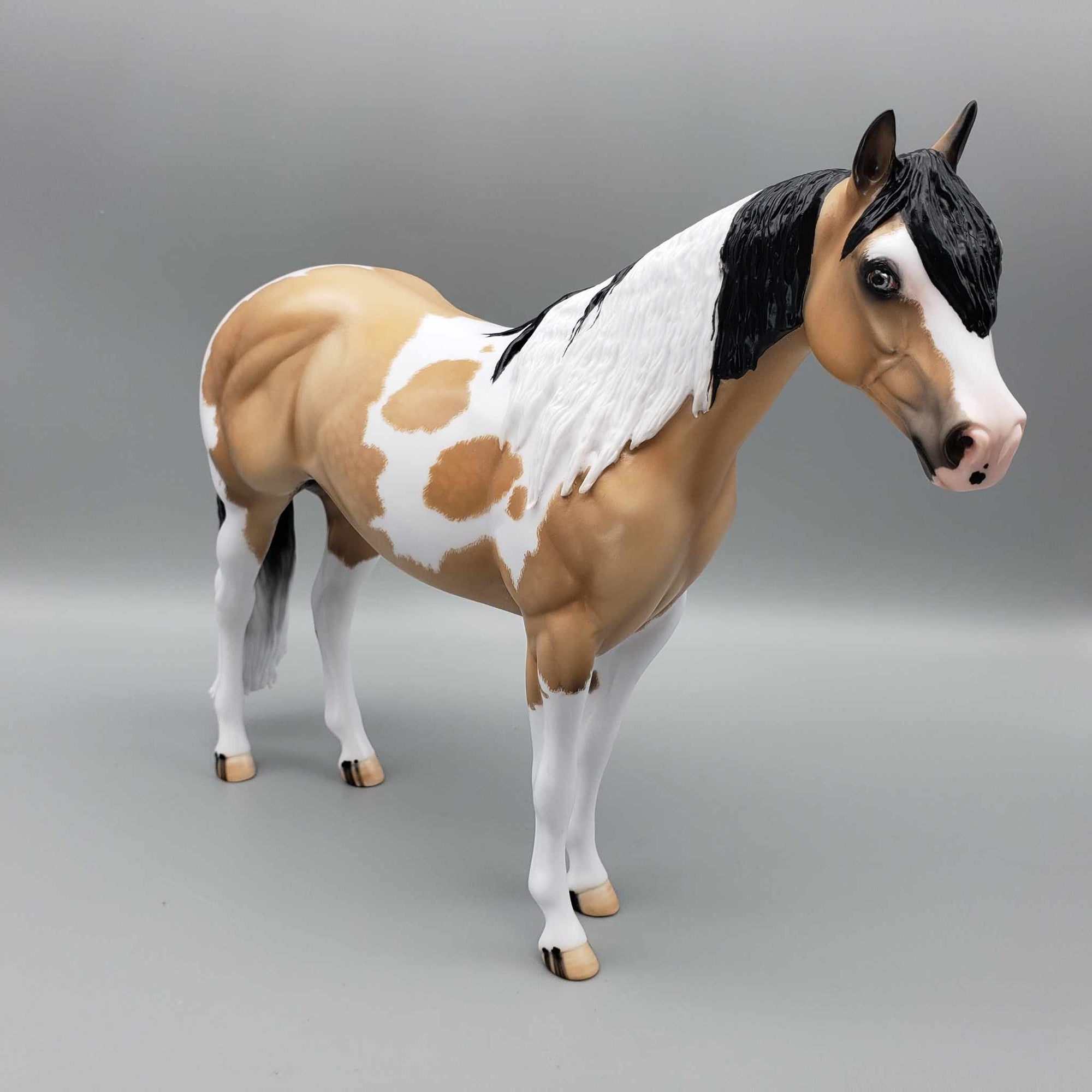 Wrangler-Ideal Stock Horse By Carrie Keller for AoTH23 Best Offers