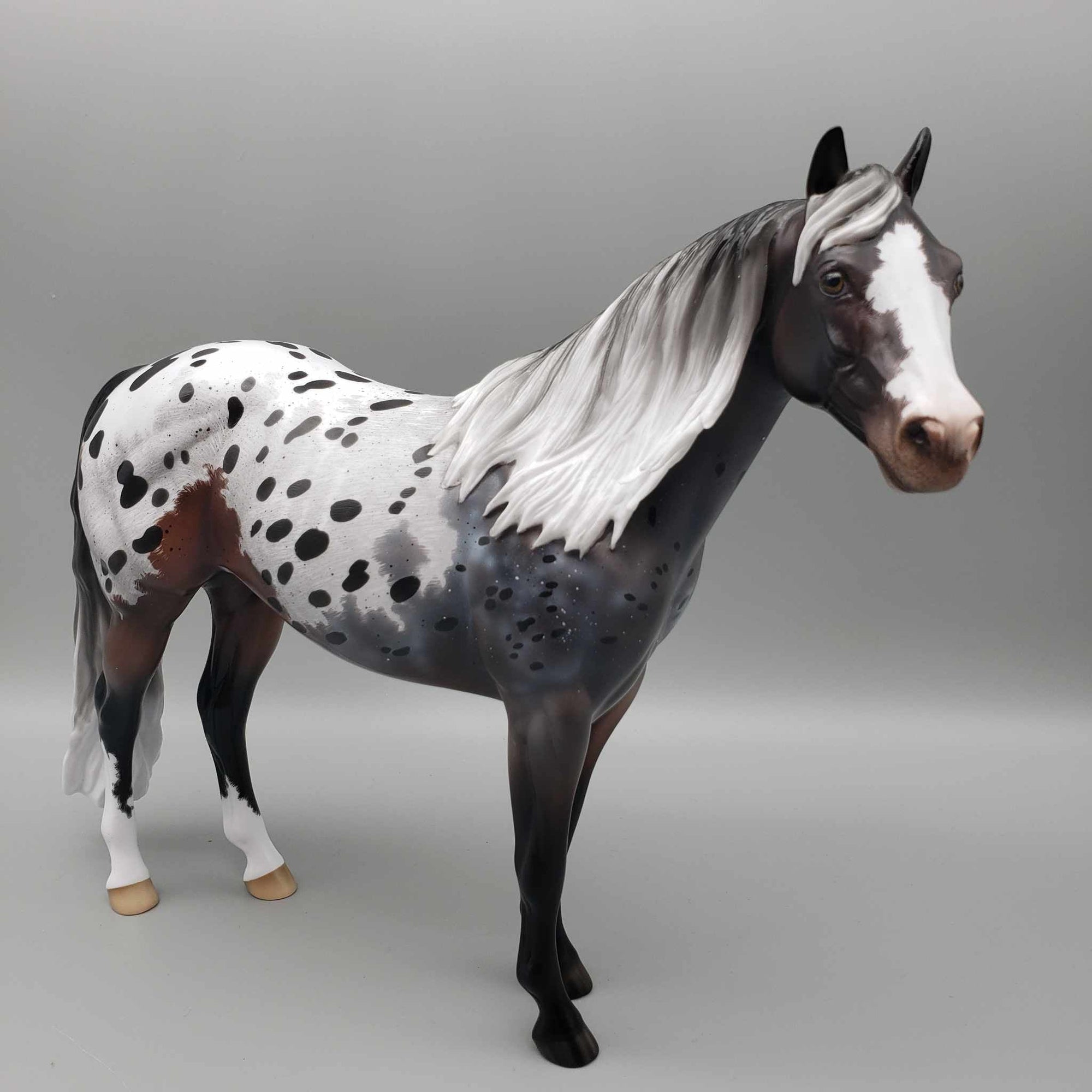 Usothe OOAK Appaloosa Ideal Stock Horse By Ellen Robbins for AoTH23 Best Offers