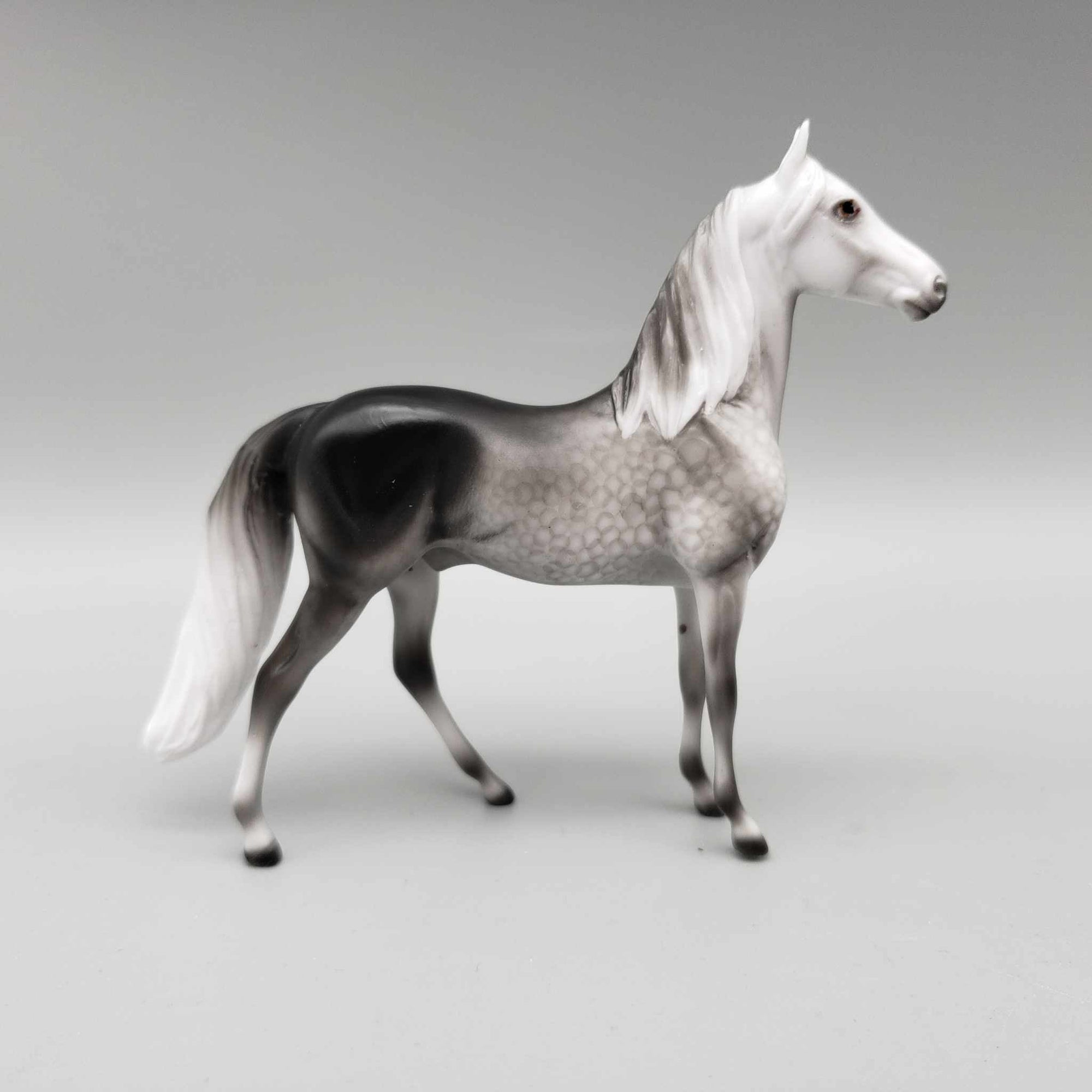 Snow Cloud OOAK Dapple Grey Morgan Chip by Ellen Robbins Holiday Sale HS23